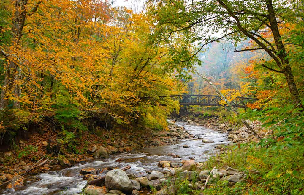 The Appalachian Trail footbridge in Bennington/Woodford, Vermont during the fall foliage seasons.