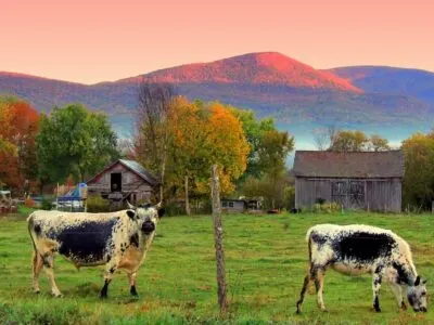 A Southern Vermont Fall Foliage Weekend Getaway