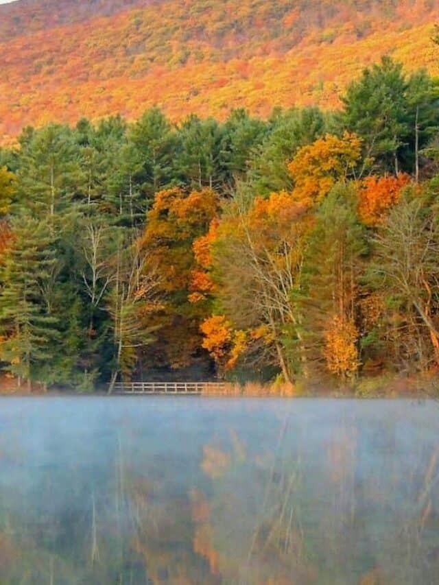 Take a Mini Fall Road Trip in Southern Vermont