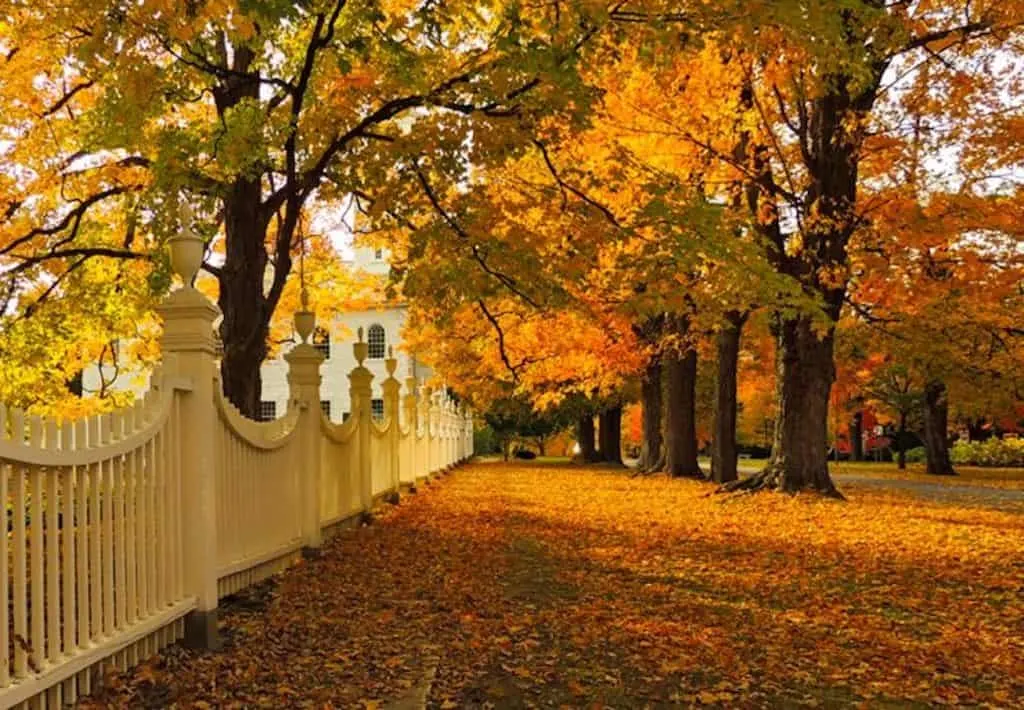 The fence in front of the Old First Church in Bennington, VT during fall foliage season.