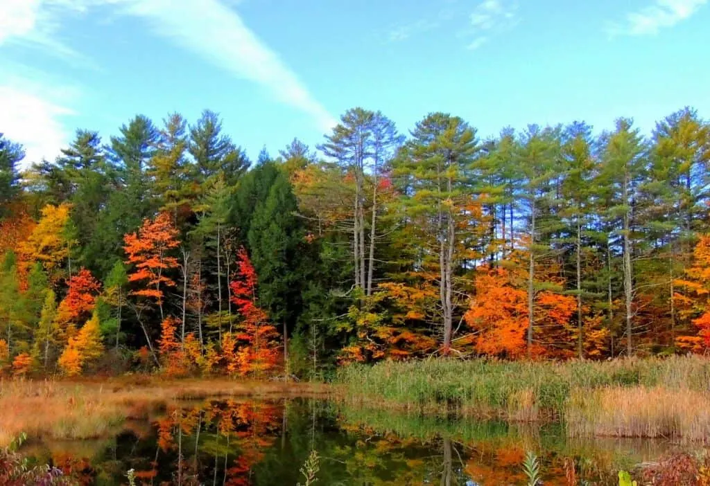 Old Depot Road in Shaftsury, VT during the fall foliage seaosn. Copyright: Tara Schatz