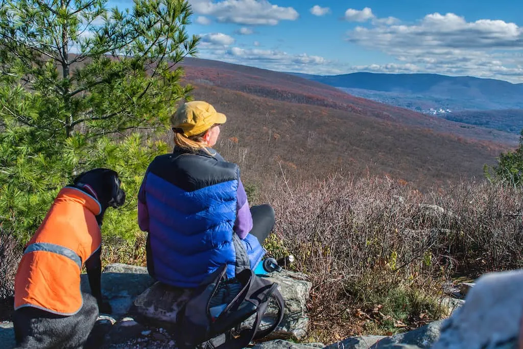 Me and Flynnie looking out over the view from the top of Pine Cobble in Williamstown, MA.