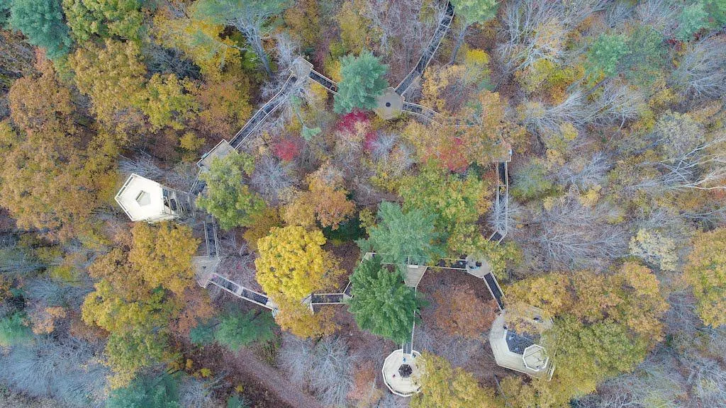 An arial view of the treetop canopy walk at VINS in Quechee Vermont