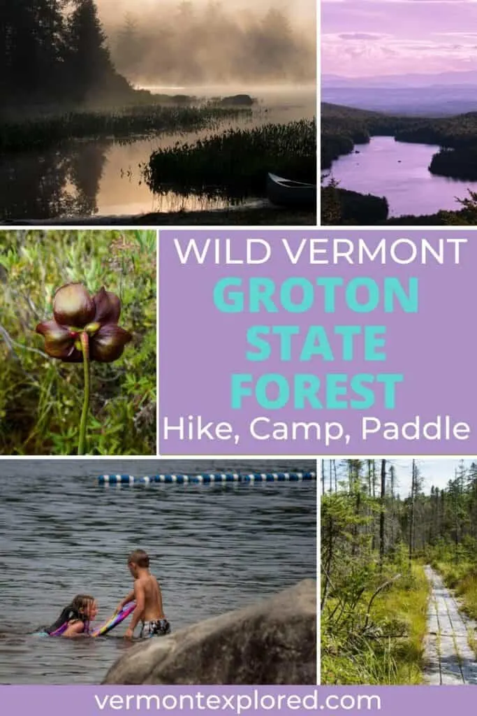 A collage of photos featuring Vermont wilderness. Text overlay: Wild Vermont - Groton State Forest