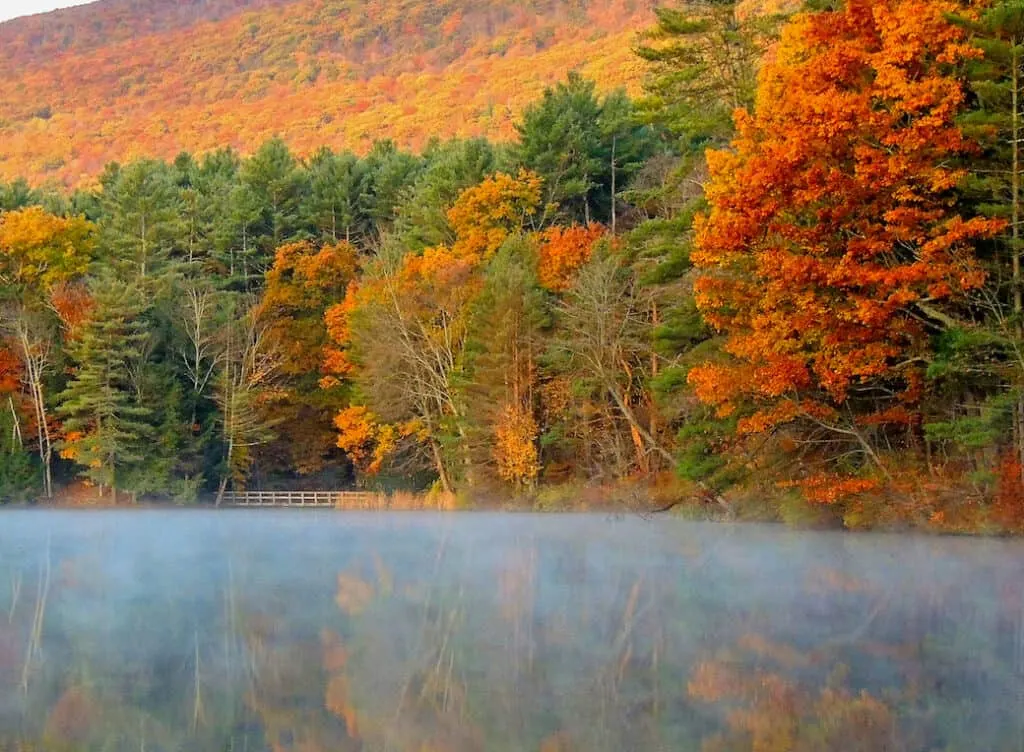 Fall foliage surrounding Lake Shaftsbury in Vermont.