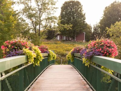 The Most Perfect Things to Do in Wilmington VT