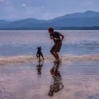 A boy runs through the waters of Lake Champlain with a puppy as the sun sets.