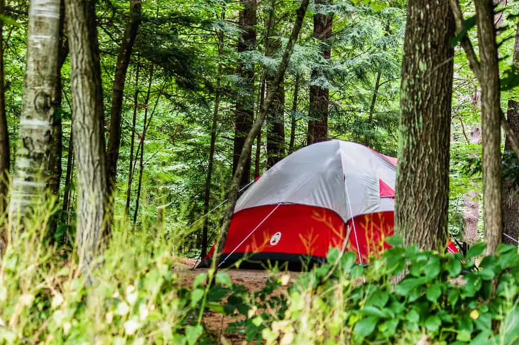 A red tent at a campsite in Wilgus State Park in Vermont.