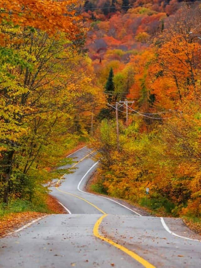 Take a Fall Foliage Road Trip on Route 100 in Vermont