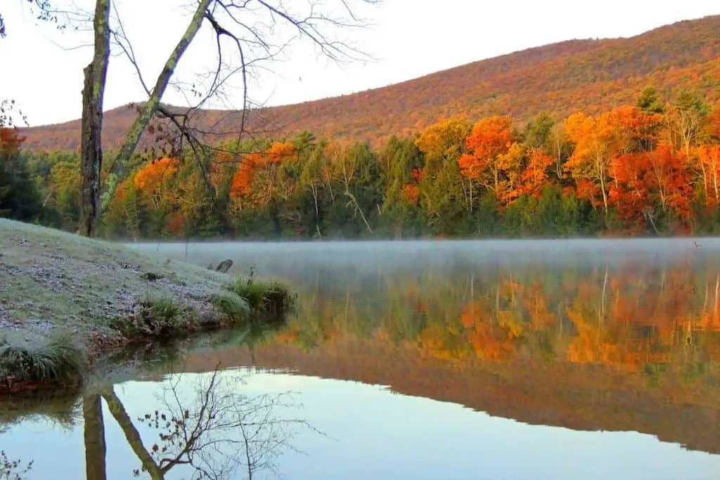 a foggy morning on Lake Shaftsbury in Vermont during the fall.