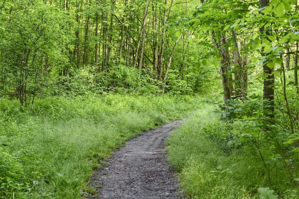 Lye Brook Falls trail in Manchester, Vermont