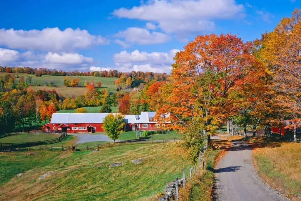 A small back road near a farmhouse in Vermont during fall foliage season.