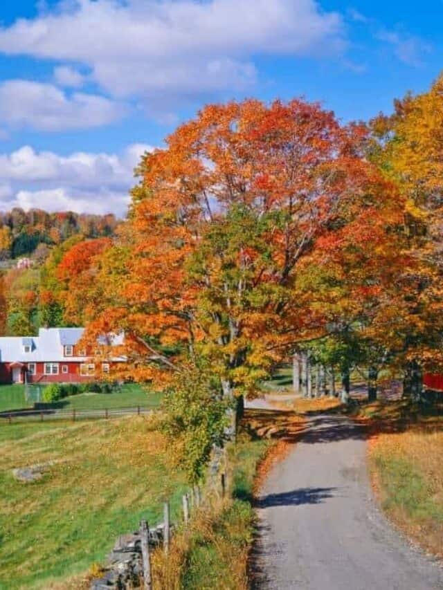 Must-Visit Destinations in Vermont in the Fall