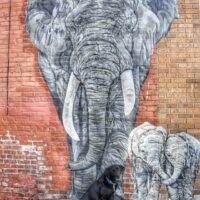 cropped-rutland-vermont-murals-elephants.jpg