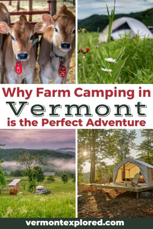 Why Farm Camping in Vermont Should be Your Next Adventure