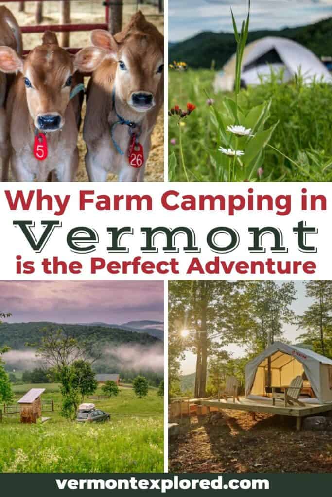 A collage of photos from Vermont farms. Text overlay: Why farm camping in Vermont should be your next adventure