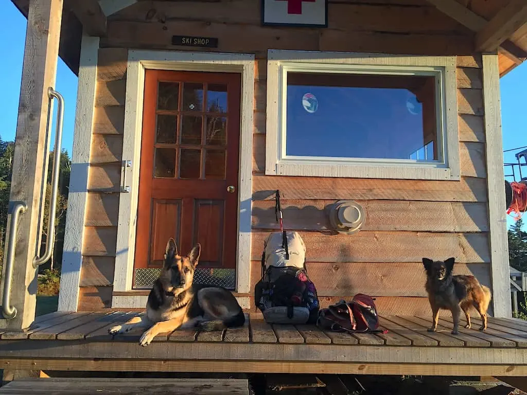 Two dogs lie on the porch of a lodge on Vermont's long trail.