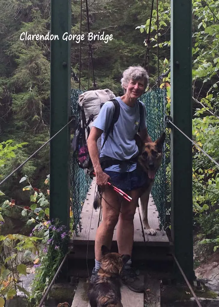 Shirley standing on a suspension bridge in Vermont with her two dogs.