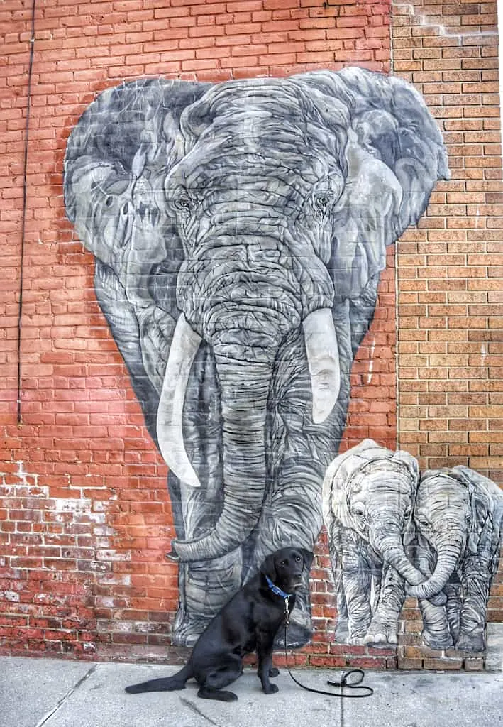 The Elephants mural in Rutland, Vermont.