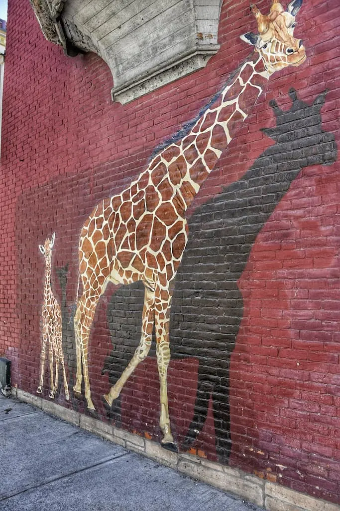 Giraffes mural in Rutland, Vermont.
