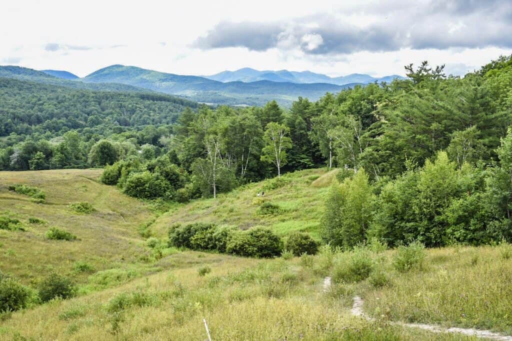 Amazing meadow views at Taconic Ramble State Park in Vermont.