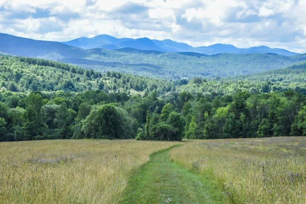 A mowed path through the meadow at Taconic Ramble State Park in Vermont.
