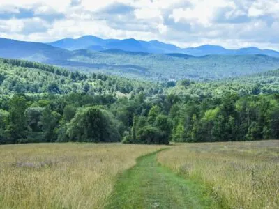 Plan a Day Trip to Taconic Mountains Ramble State Park in Vermont