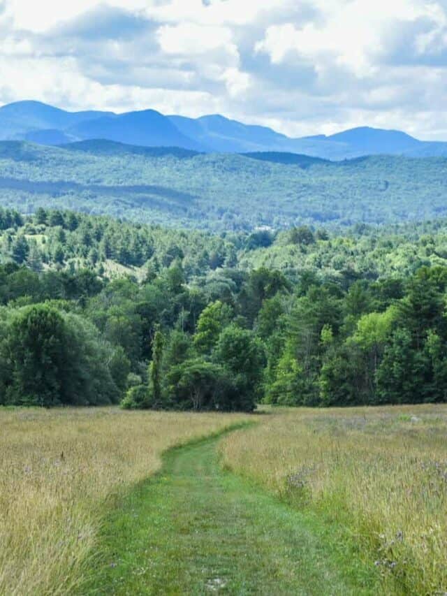 Discover Taconic Mountains Ramble State Park in Vermont