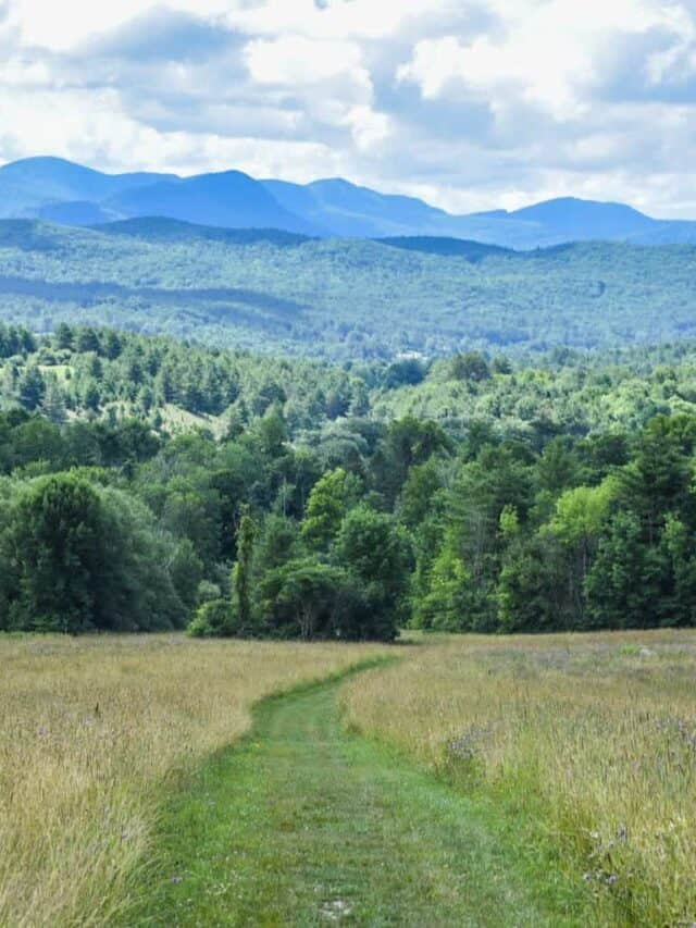 cropped-Taconic-Mountains-View.jpeg