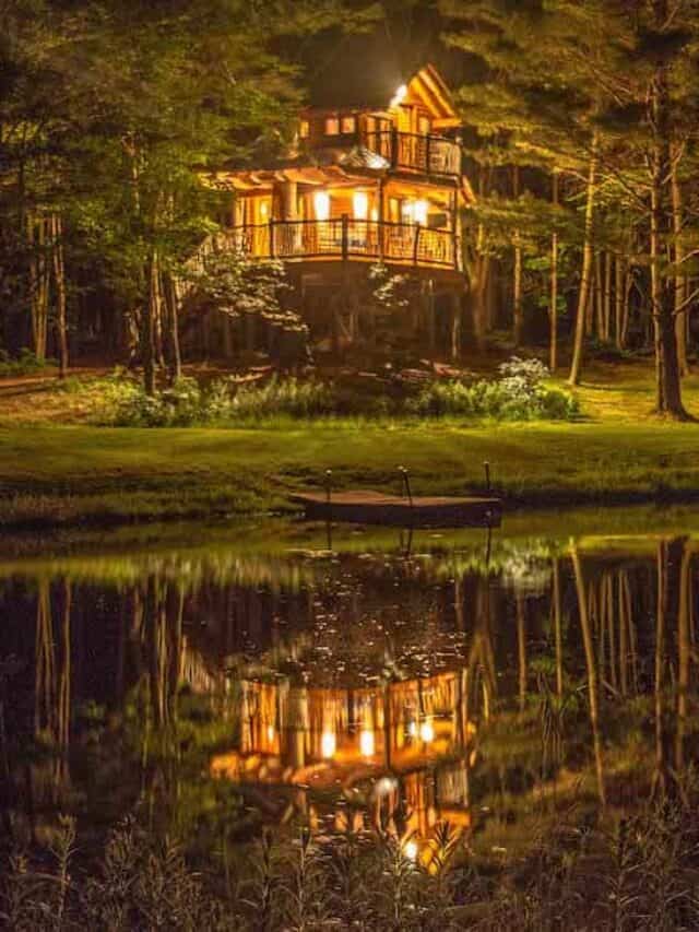 cropped-vermont-treehouse-rental-moose-meadow.jpg