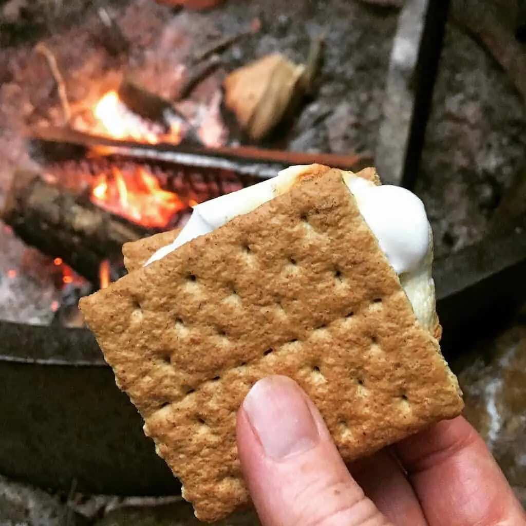 a close up of a s'more near a campfire in Jamaica State Park Vermont.