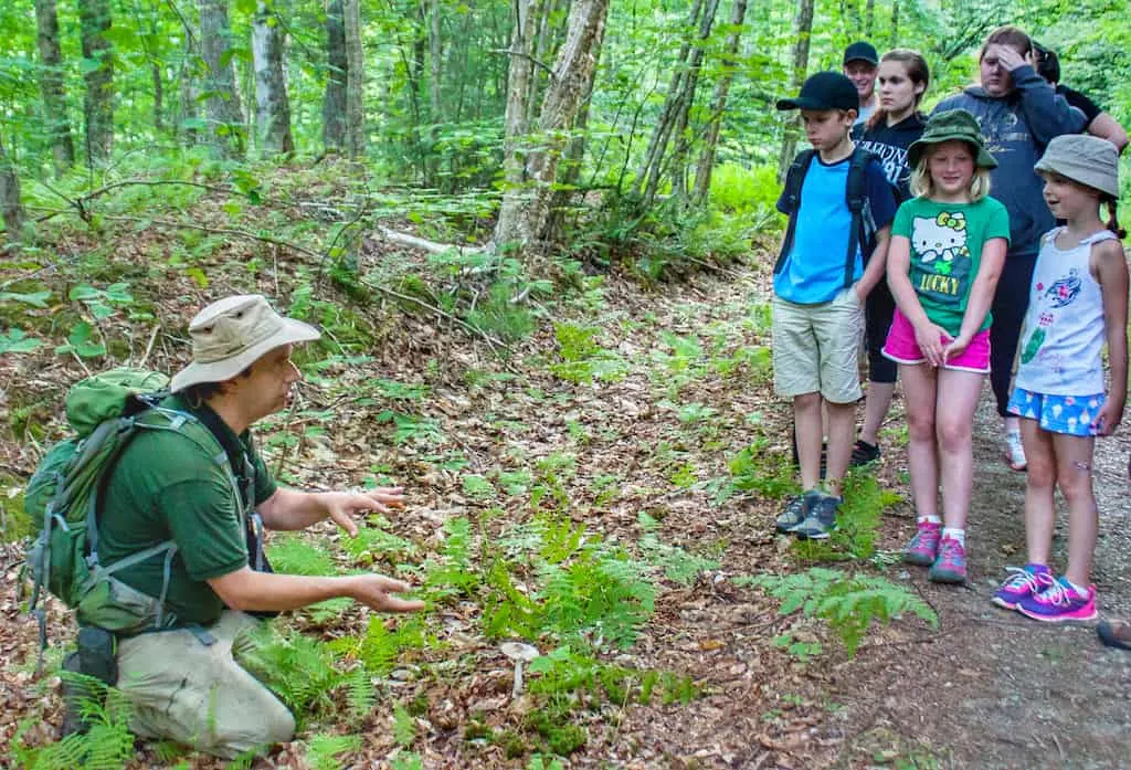 A park interpreter shows a group of kids a poisonous mushroom at Little River State Park in Vermont.