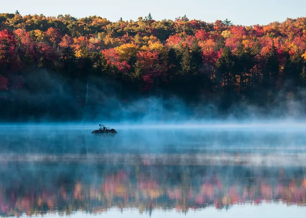 Early morning in fall at Woodford State Park featuring fog rising off the lake and fall foliage.