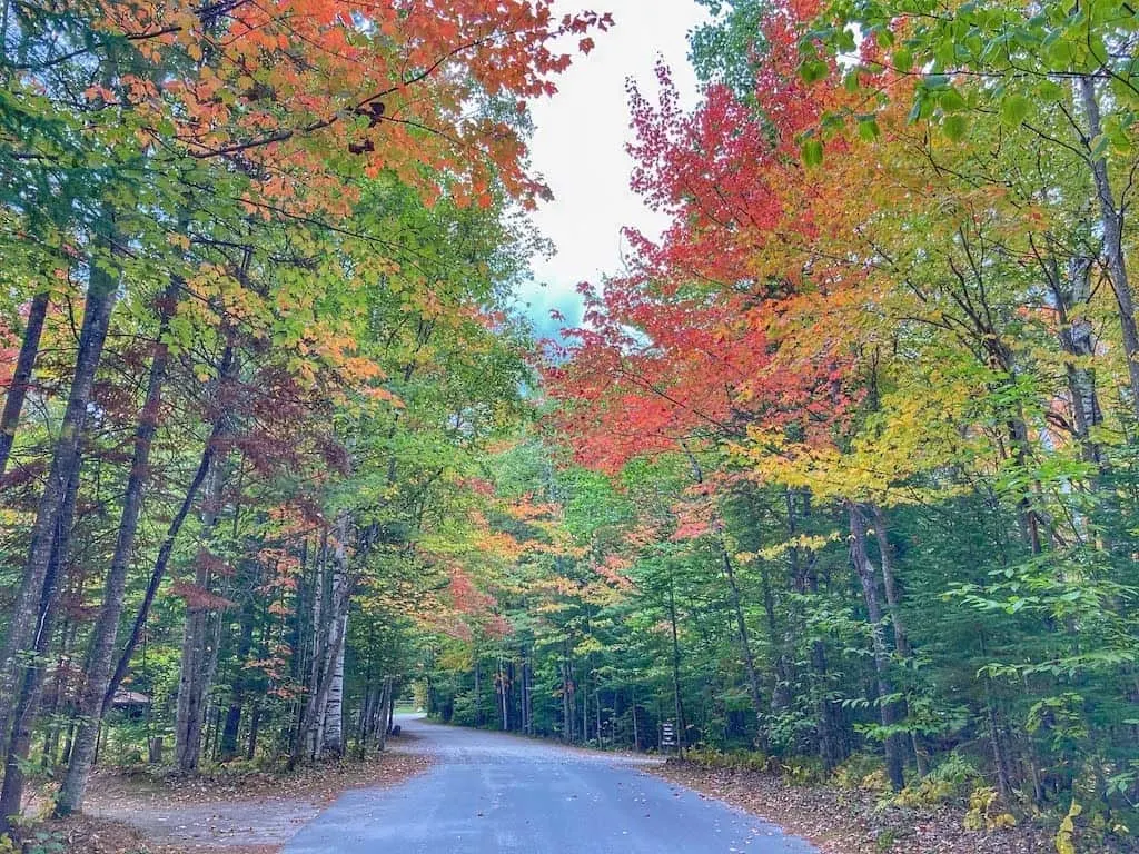 The road into the campground at Brighton State Park in Vermont.