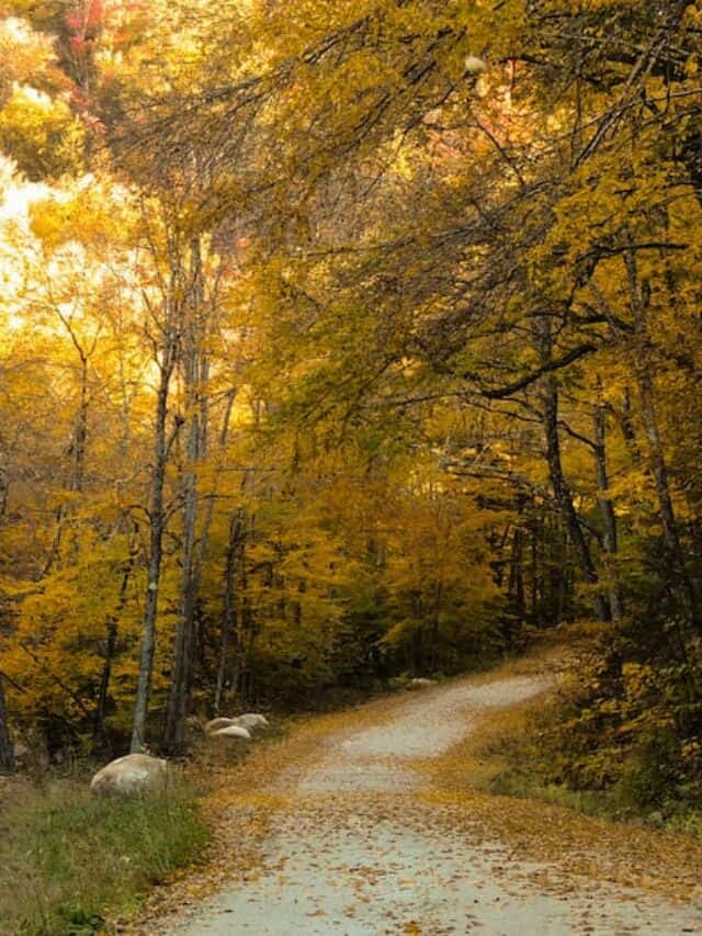 cropped-kelly-stand-road-vermont.jpg