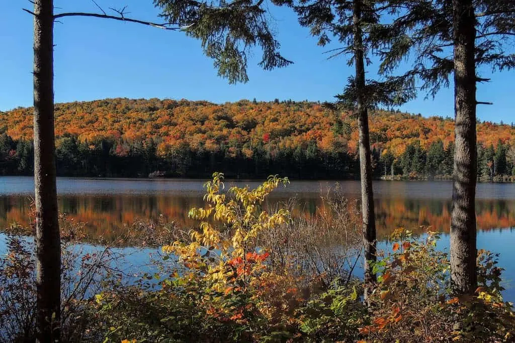 A fall foliage view of Grout Pond in Vermont.