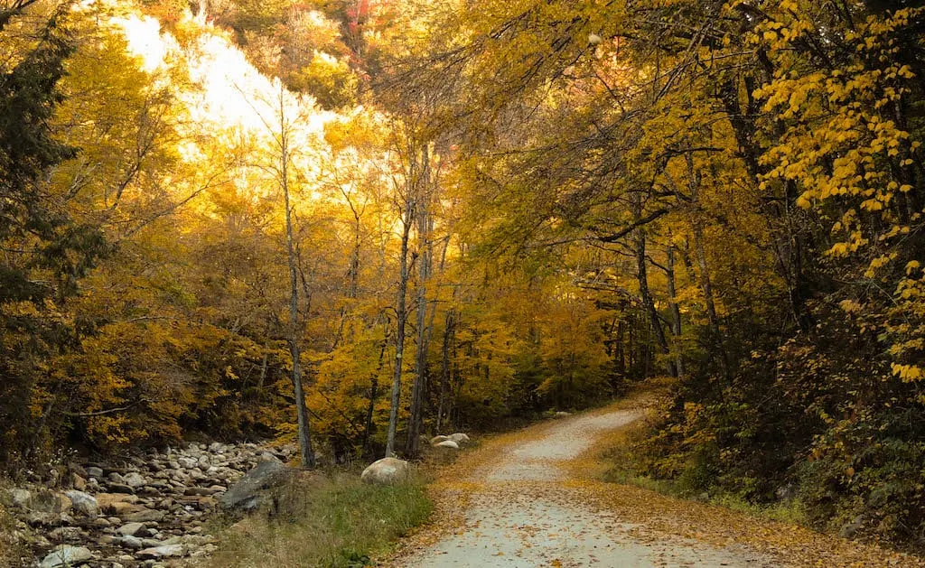 Fall foliage in Vermont on Kelly Stand Road in Arlington.