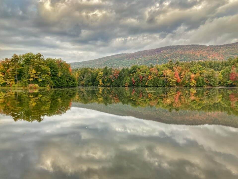 Lake Shaftsbury State Park in All Four Seasons