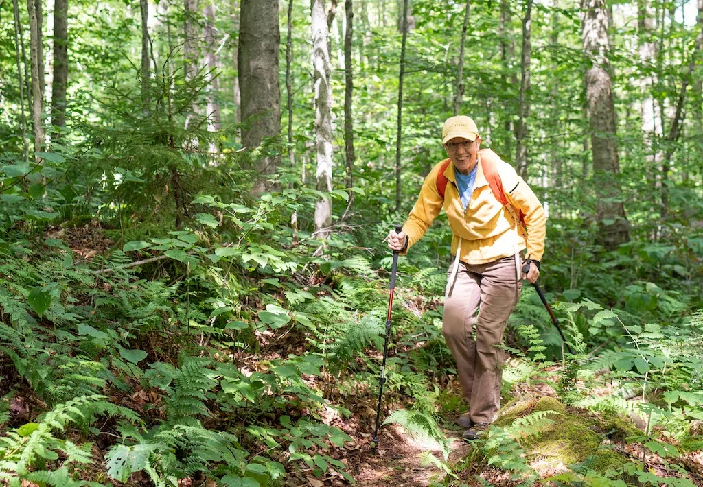 A woman hikes through the woods in the summer at Woodford State Park in Vermont.