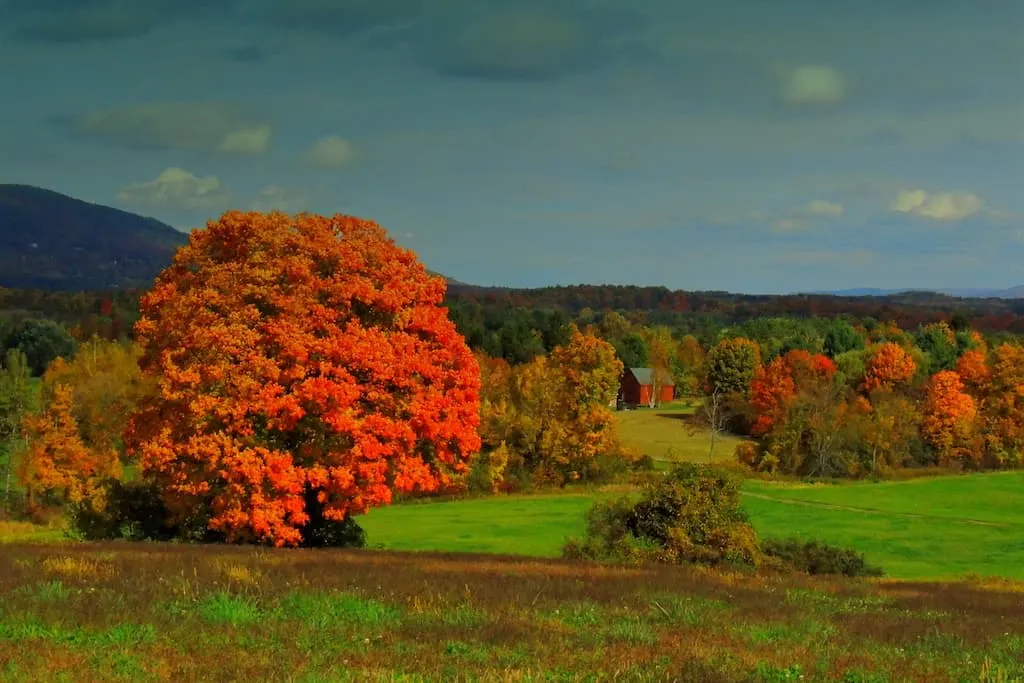 A view of woods, mountains, and farm fields from a hiking trail in North Bennington, Vermont.