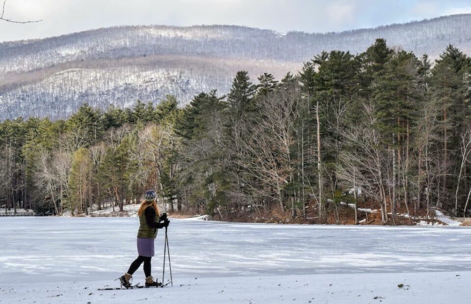 Lake Shaftsbury State Park in All Four Seasons
