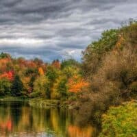 cropped-groton-state-forest-vt-dp.jpg