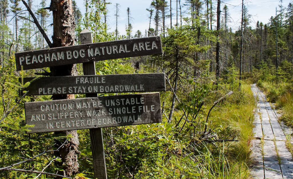 A sign leading to Peacham Bog in Groton State Forest, Vermont.