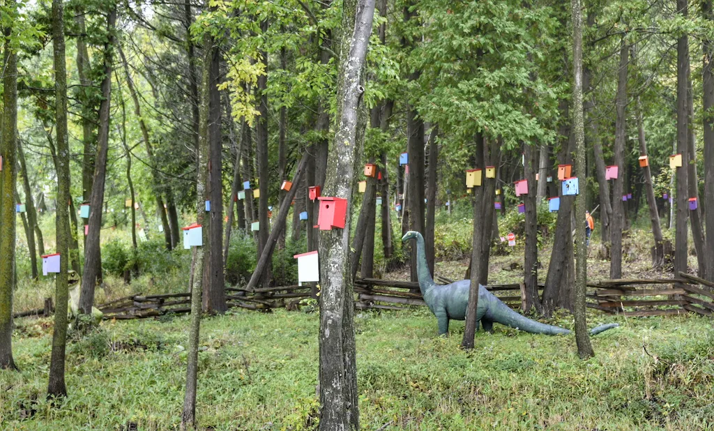 A view of the birdhouse forest in South Hero Vermont, including a friendly dinosaur statue. 