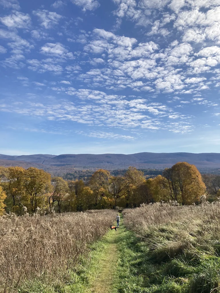 A muted Vermont fall foliage scene taken in Bennington Vermont in November.