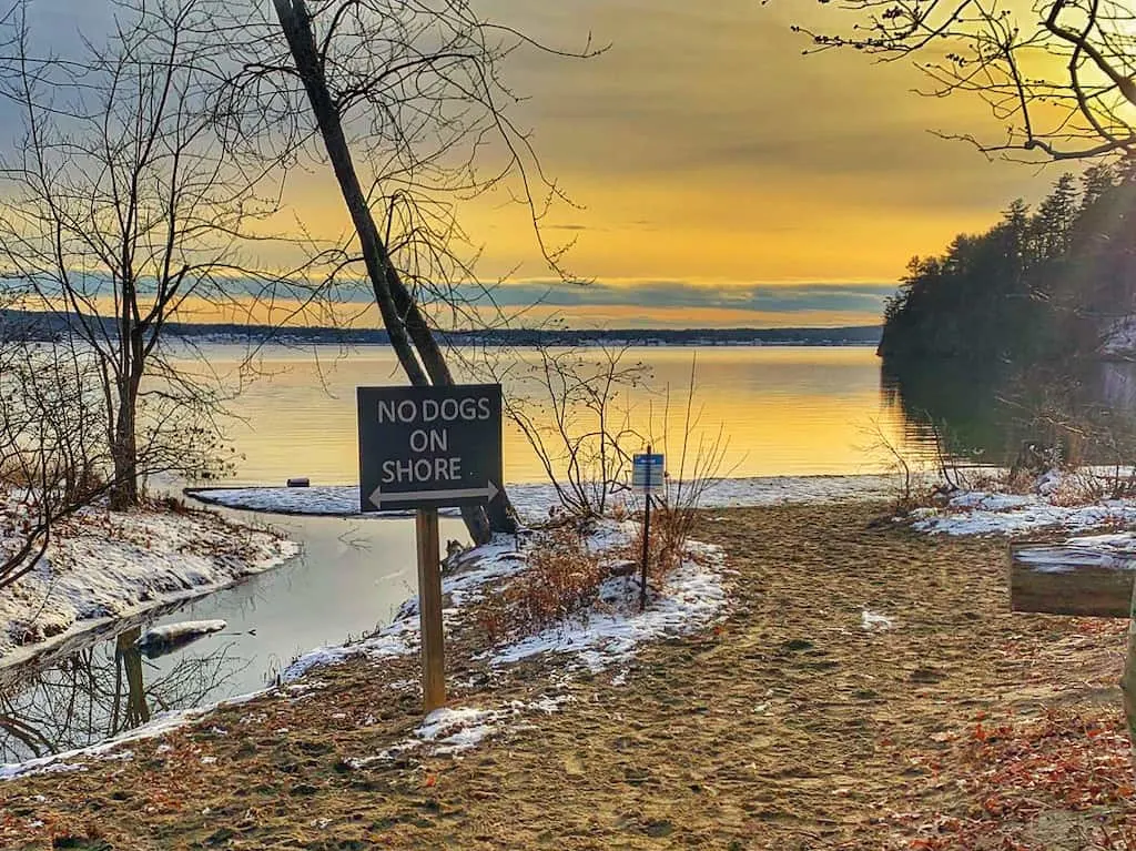 Niquette Bay State Park in Colchester has some great hiking trails for families, dogs, and beginners.