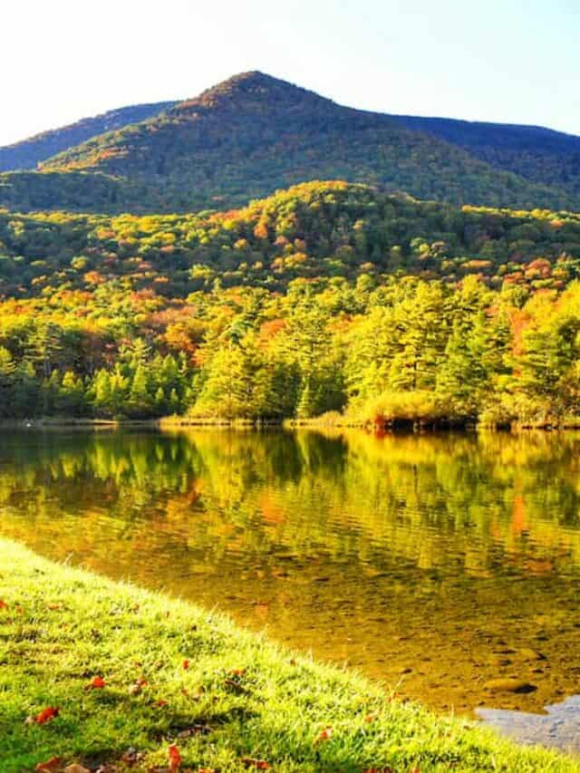 cropped-equinox-pond-vermont-fall-foliage.jpeg