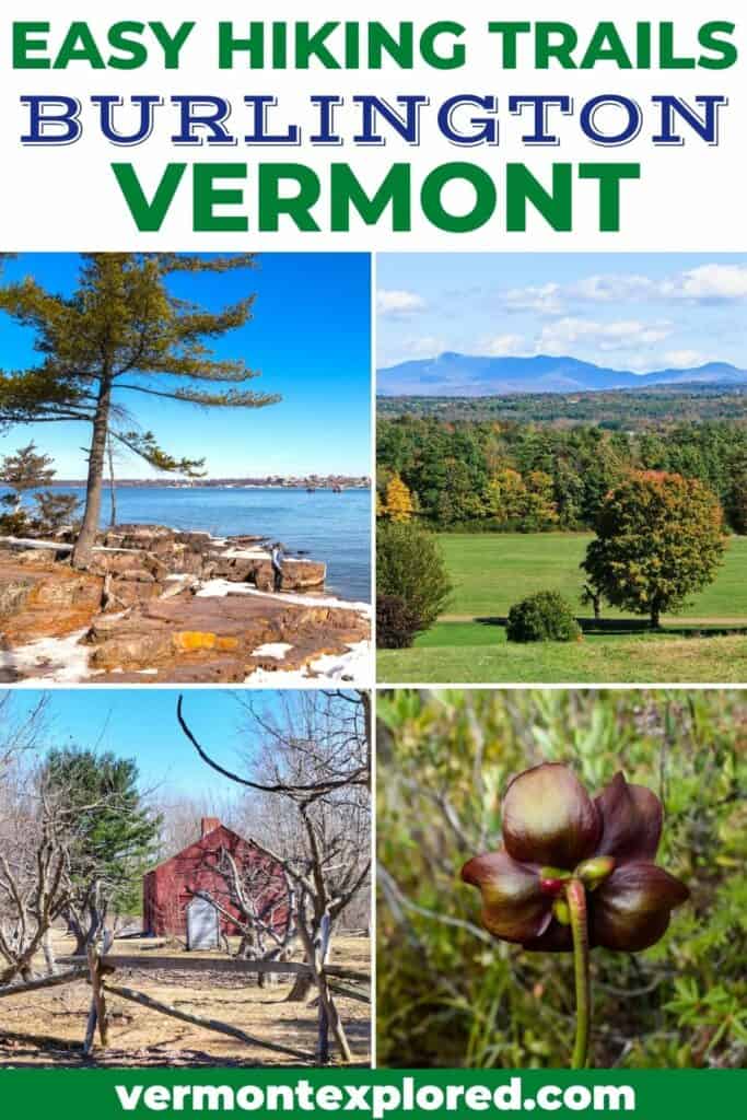 A collage of photos featuring hiking trails near Burlington, Vermont. Text overlay: Easy hikes near Burlington, Vermont.