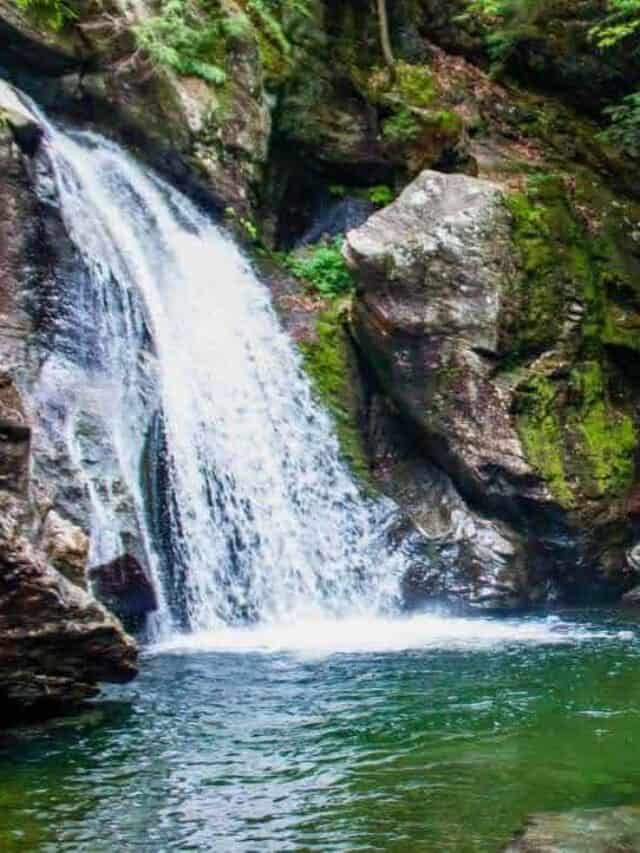 cropped-bingham-falls-swimming-hole.jpeg