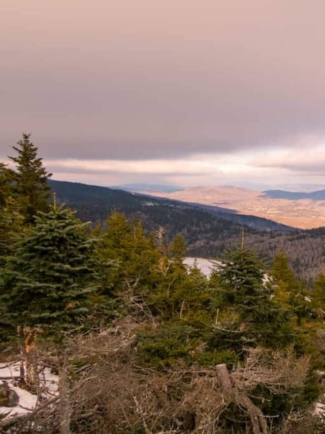 cropped-summit-haystack-mountain.jpg